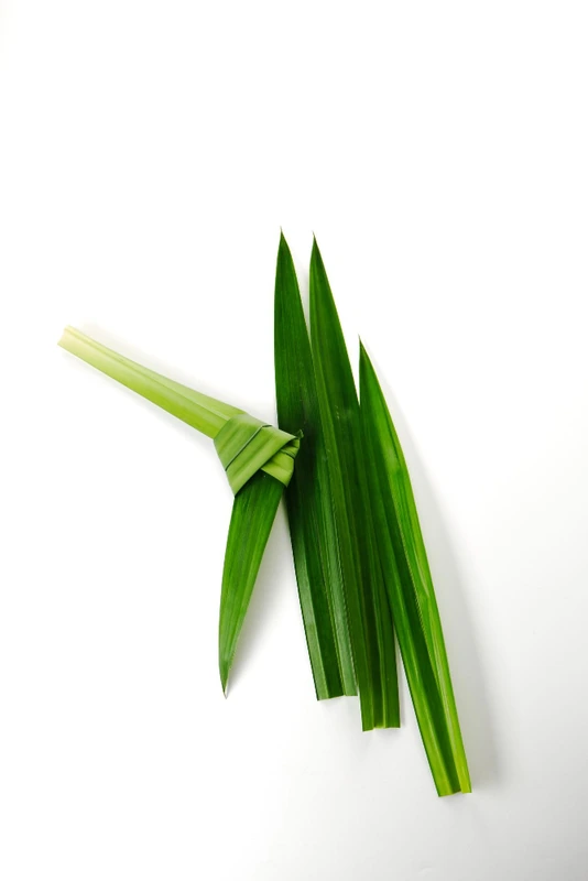 Daun Pandan